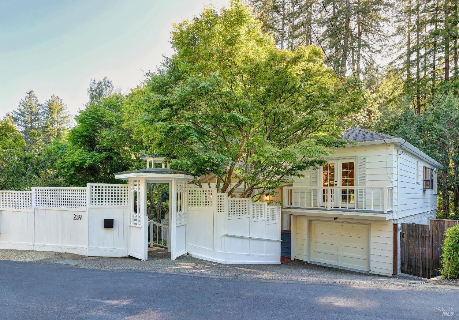 Detail Gallery Image 1 of 38 For 239 W Blithedale Ave, Mill Valley,  CA 94941 - 3 Beds | 2 Baths