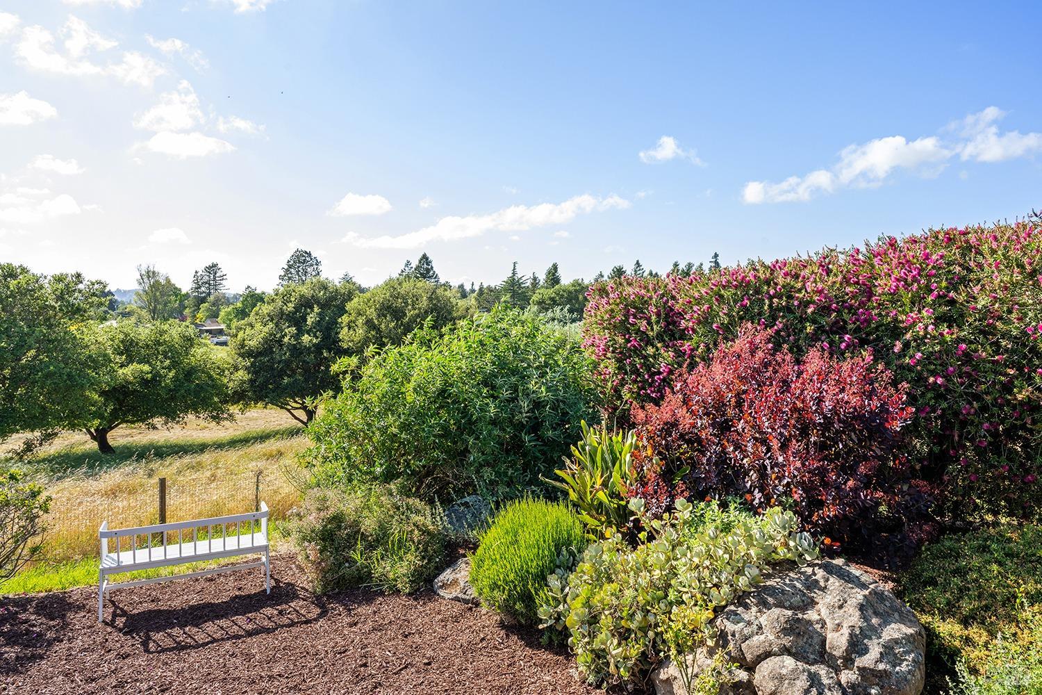 Detail Gallery Image 49 of 64 For 2022 Live Oak Farm Ln, Petaluma,  CA 94952 - 3 Beds | 2/1 Baths