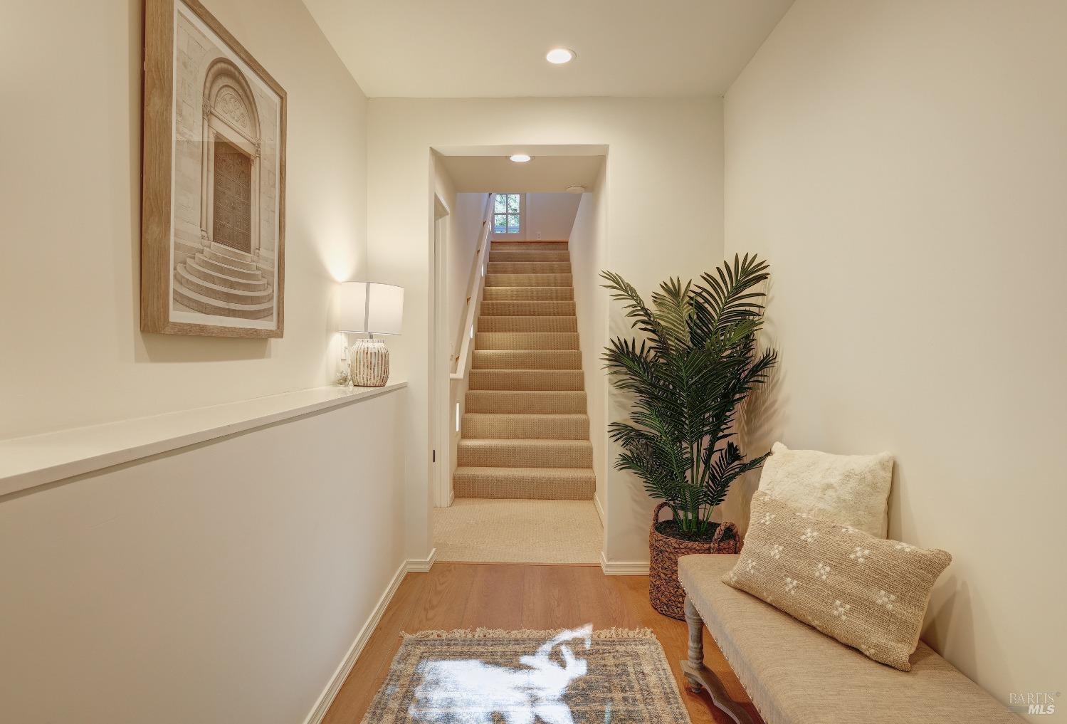 Detail Gallery Image 22 of 38 For 239 W Blithedale Ave, Mill Valley,  CA 94941 - 3 Beds | 2 Baths