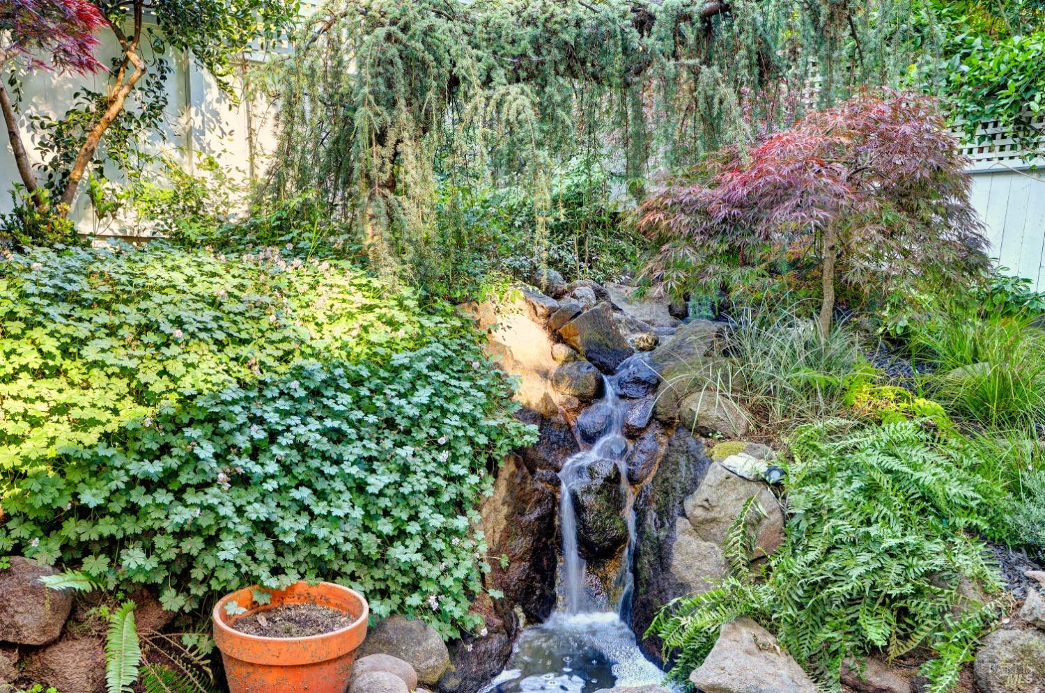 Detail Gallery Image 4 of 38 For 239 W Blithedale Ave, Mill Valley,  CA 94941 - 3 Beds | 2 Baths