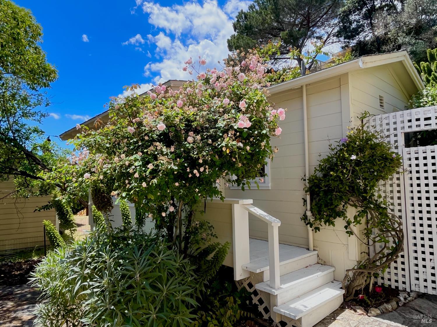 Detail Gallery Image 2 of 19 For 14 Belle Ave a,  San Rafael,  CA 94901 - 0 Beds | 1 Baths