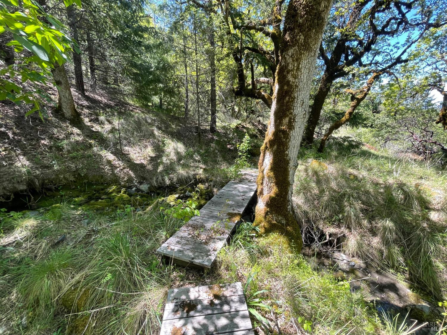 Detail Gallery Image 13 of 31 For 5080 Yellow Star Rd, Leggett,  CA 95585 - – Beds | – Baths