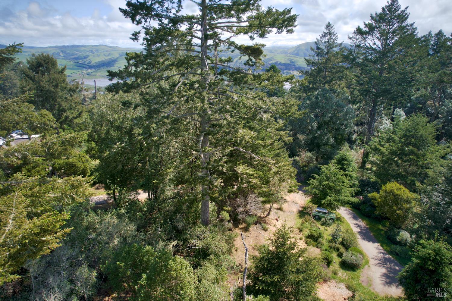 Detail Gallery Image 8 of 10 For 0 Douglas Dr, Inverness,  CA 94937 - – Beds | – Baths