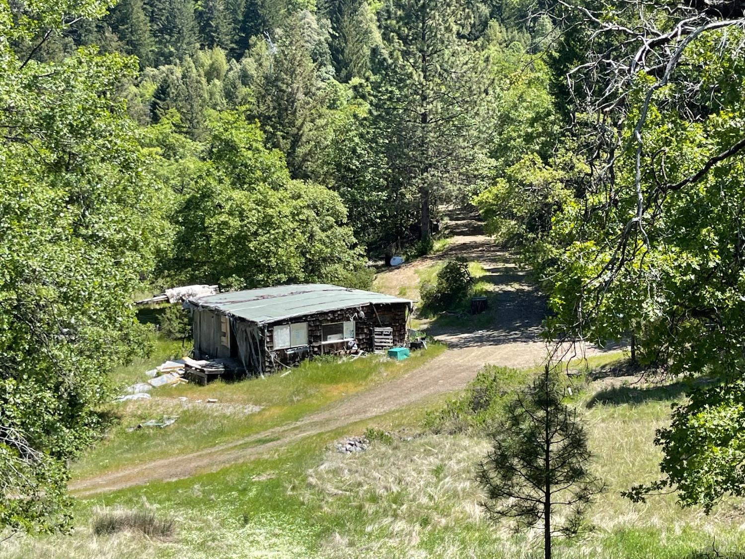 Detail Gallery Image 1 of 31 For 5080 Yellow Star Rd, Leggett,  CA 95585 - – Beds | – Baths