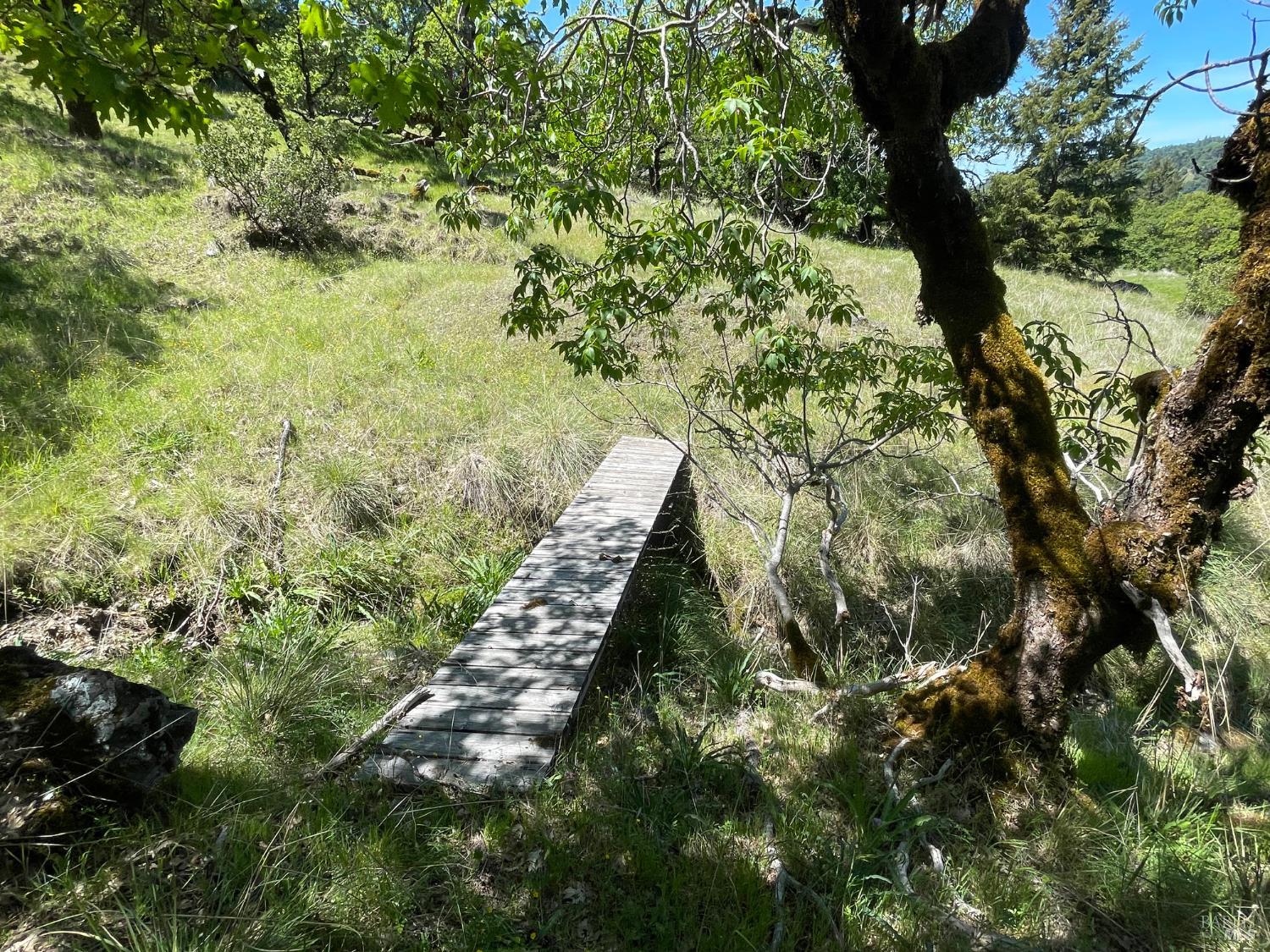 Detail Gallery Image 17 of 31 For 5080 Yellow Star Rd, Leggett,  CA 95585 - – Beds | – Baths