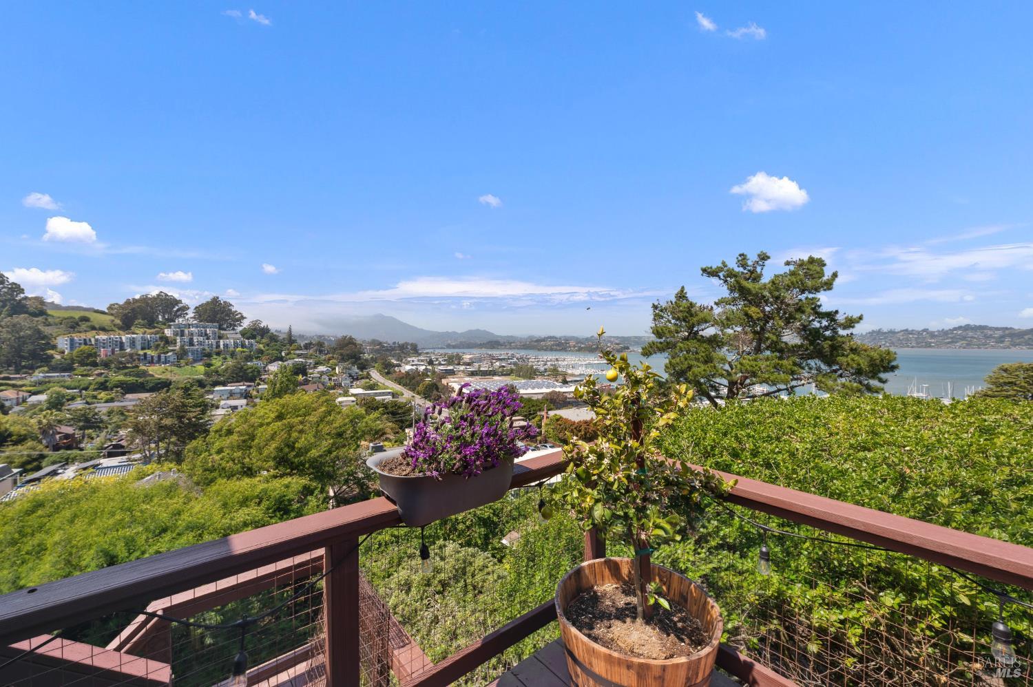 Detail Gallery Image 6 of 11 For 20 Woodward Ave, Sausalito,  CA 94965 - – Beds | – Baths