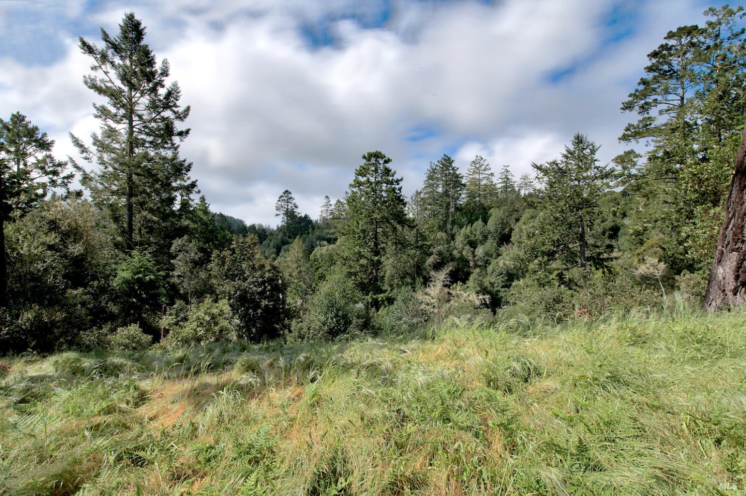Detail Gallery Image 1 of 10 For 0 Douglas Dr, Inverness,  CA 94937 - – Beds | – Baths