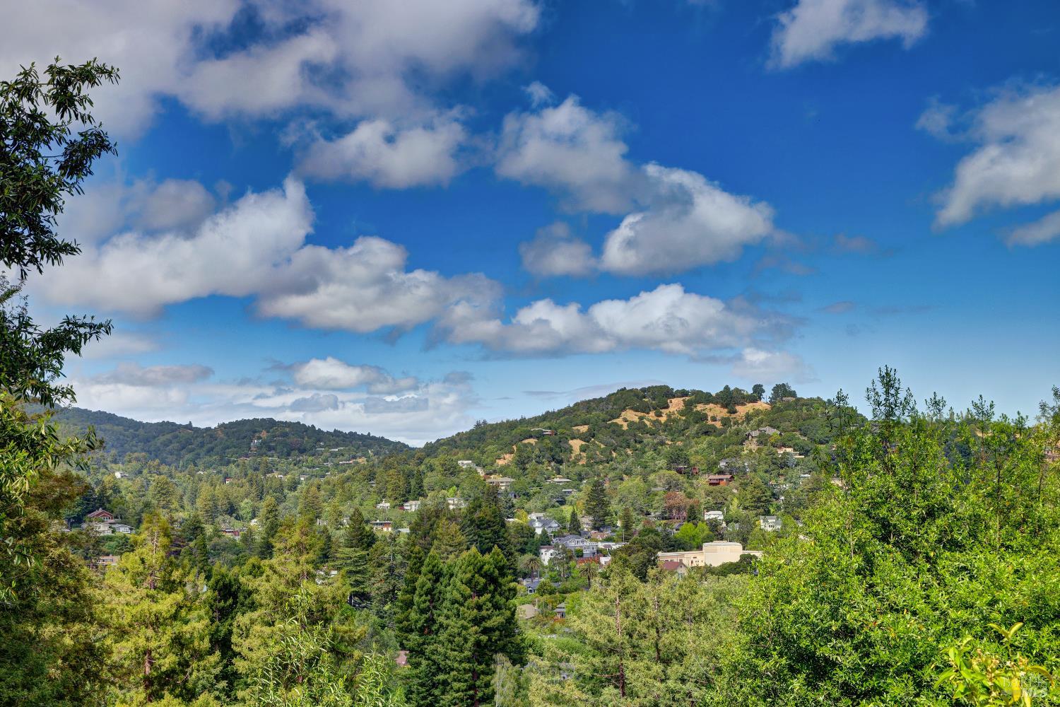 Detail Gallery Image 29 of 30 For 47 Woodside Ln, Mill Valley,  CA 94941 - 2 Beds | 2 Baths