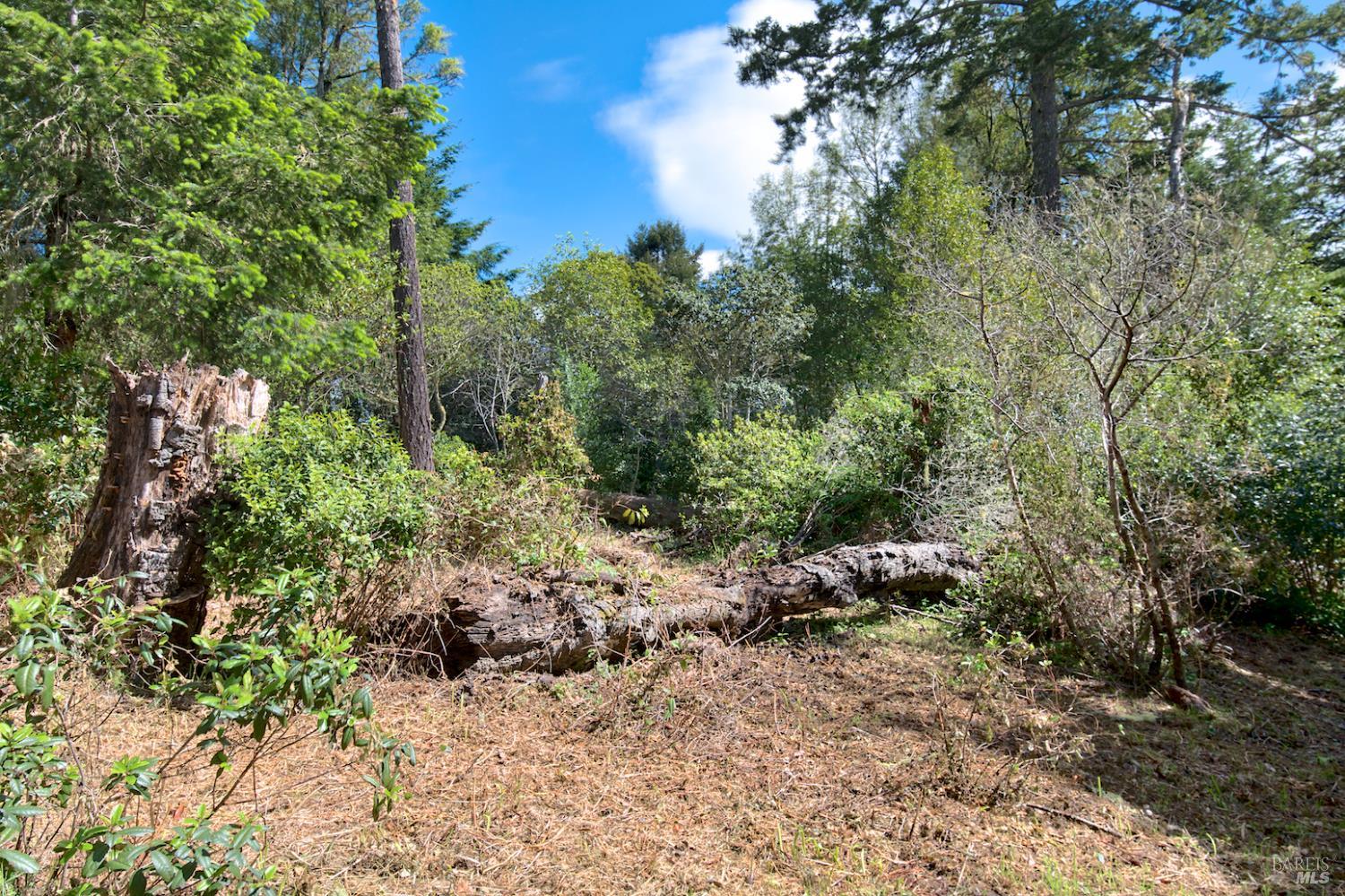 Detail Gallery Image 5 of 10 For 0 Douglas Dr, Inverness,  CA 94937 - – Beds | – Baths