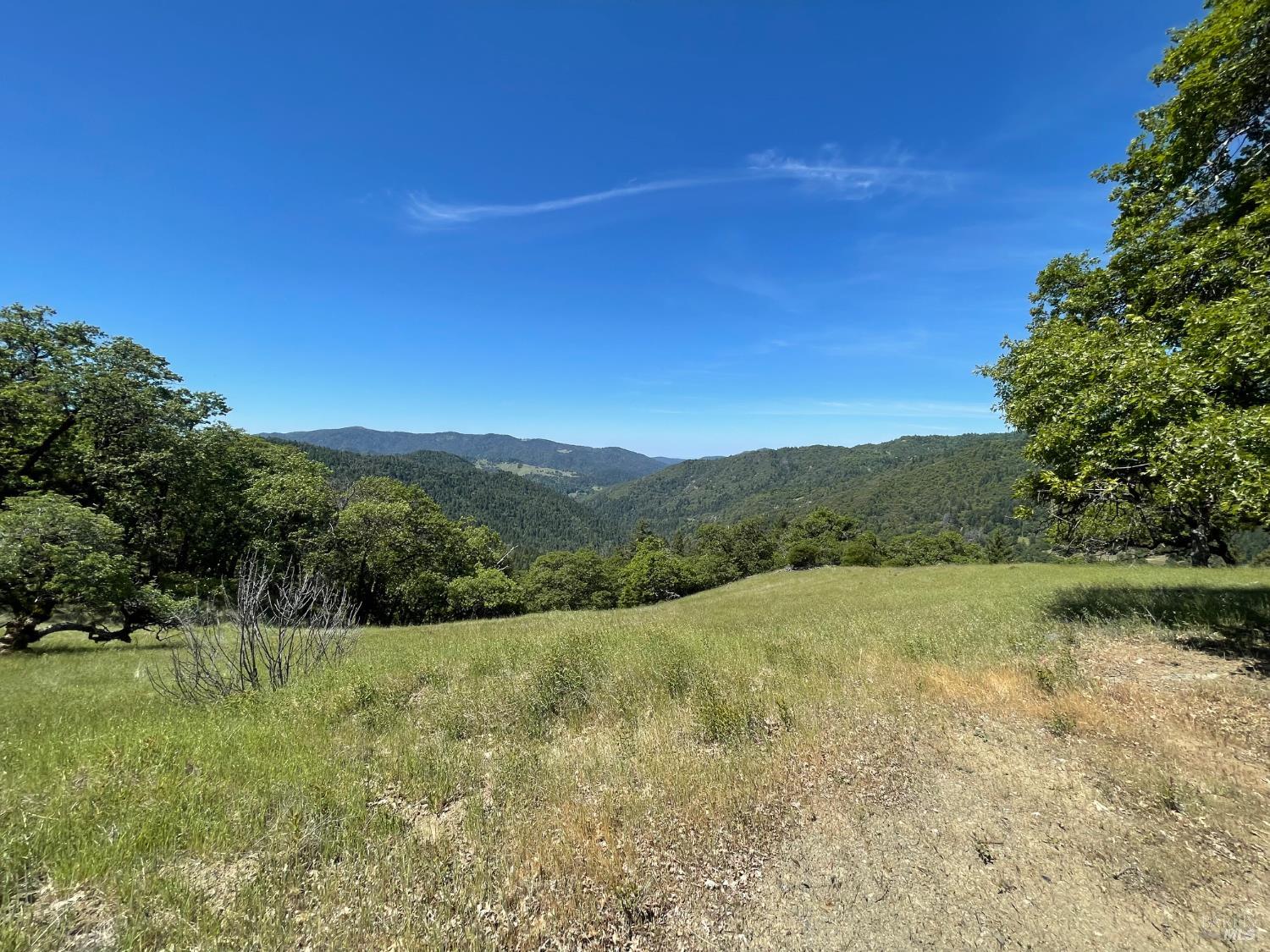 Detail Gallery Image 22 of 31 For 5080 Yellow Star Rd, Leggett,  CA 95585 - – Beds | – Baths
