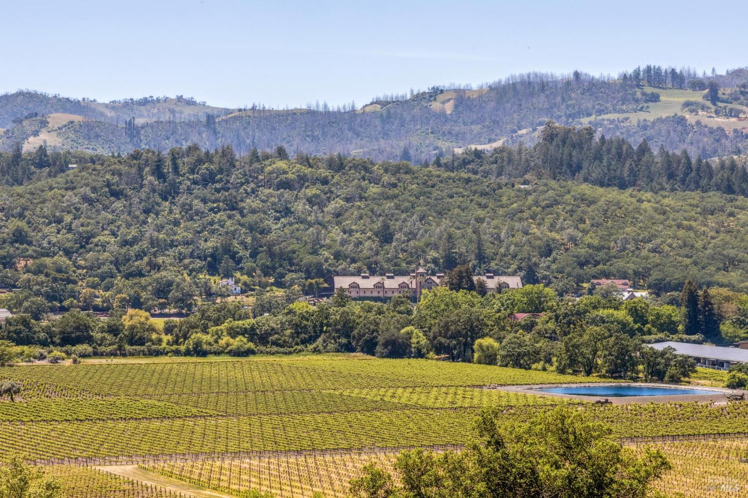 Detail Gallery Image 6 of 83 For 107 Knoll Ct, Saint Helena,  CA 94574 - 4 Beds | 3/1 Baths