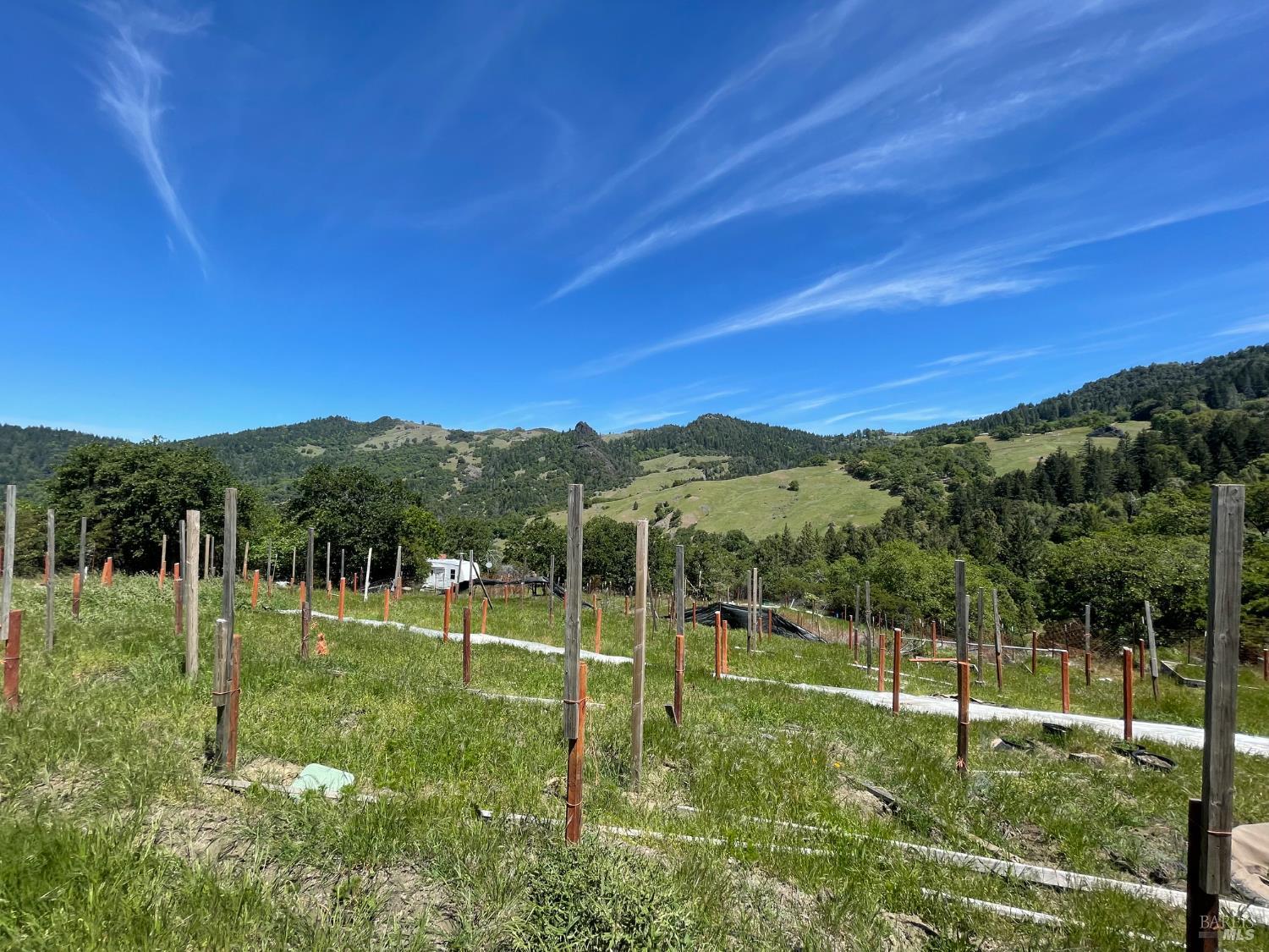 Detail Gallery Image 3 of 31 For 5080 Yellow Star Rd, Leggett,  CA 95585 - – Beds | – Baths