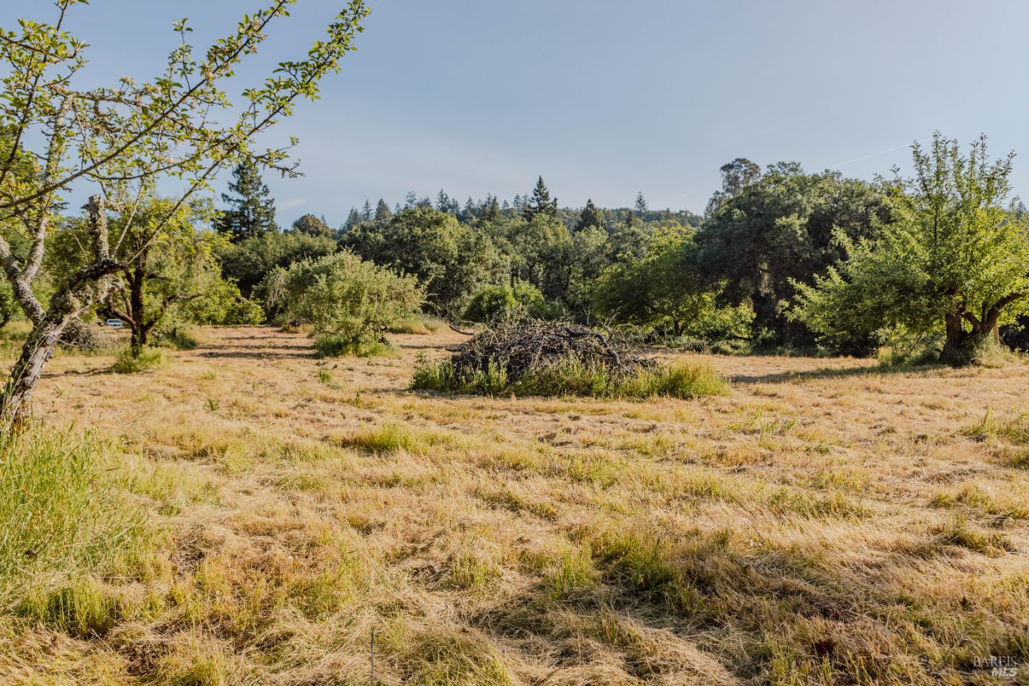 Detail Gallery Image 13 of 37 For 5957 Anderson Rd, Forestville,  CA 95436 - – Beds | – Baths