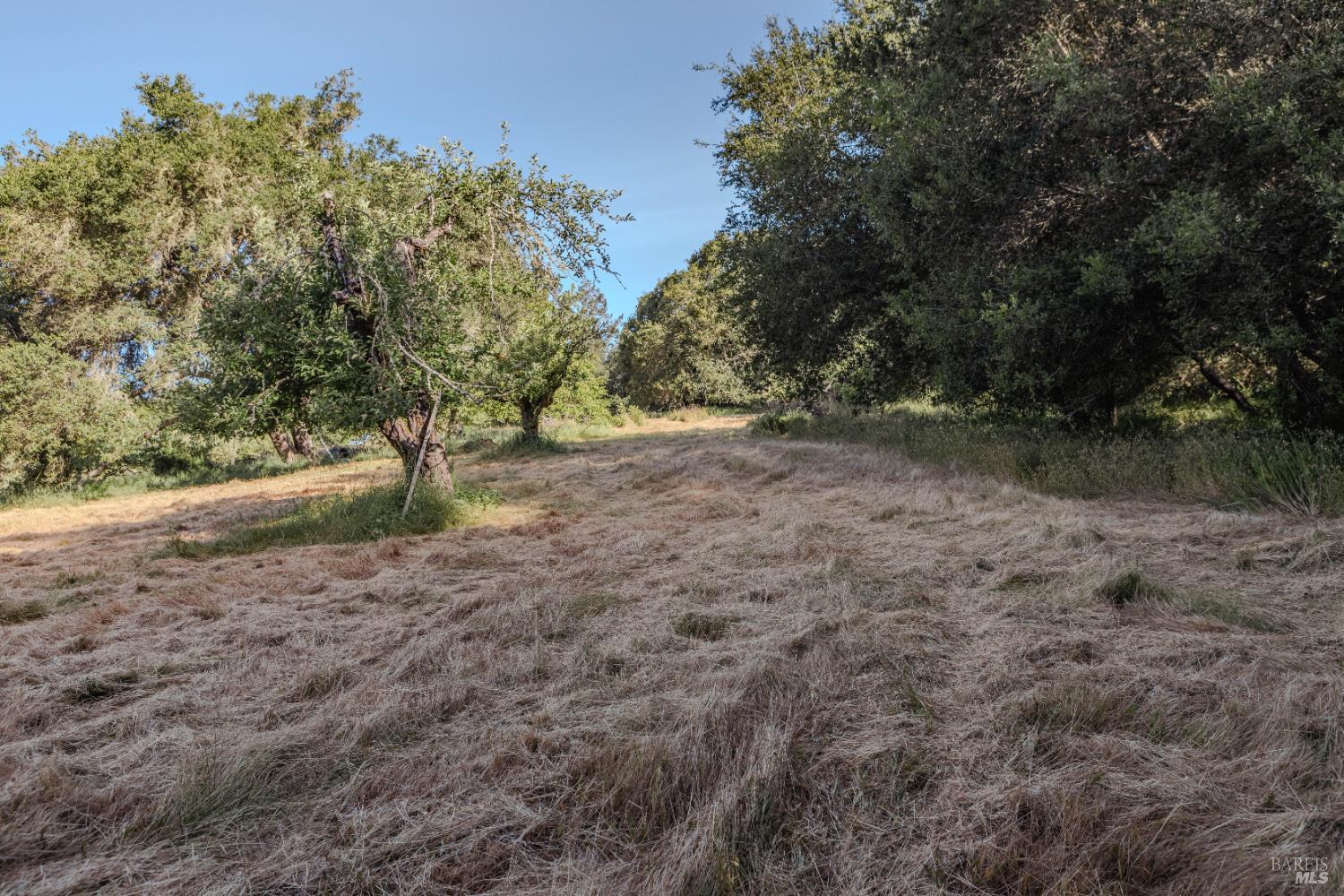 Detail Gallery Image 20 of 37 For 5957 Anderson Rd, Forestville,  CA 95436 - – Beds | – Baths