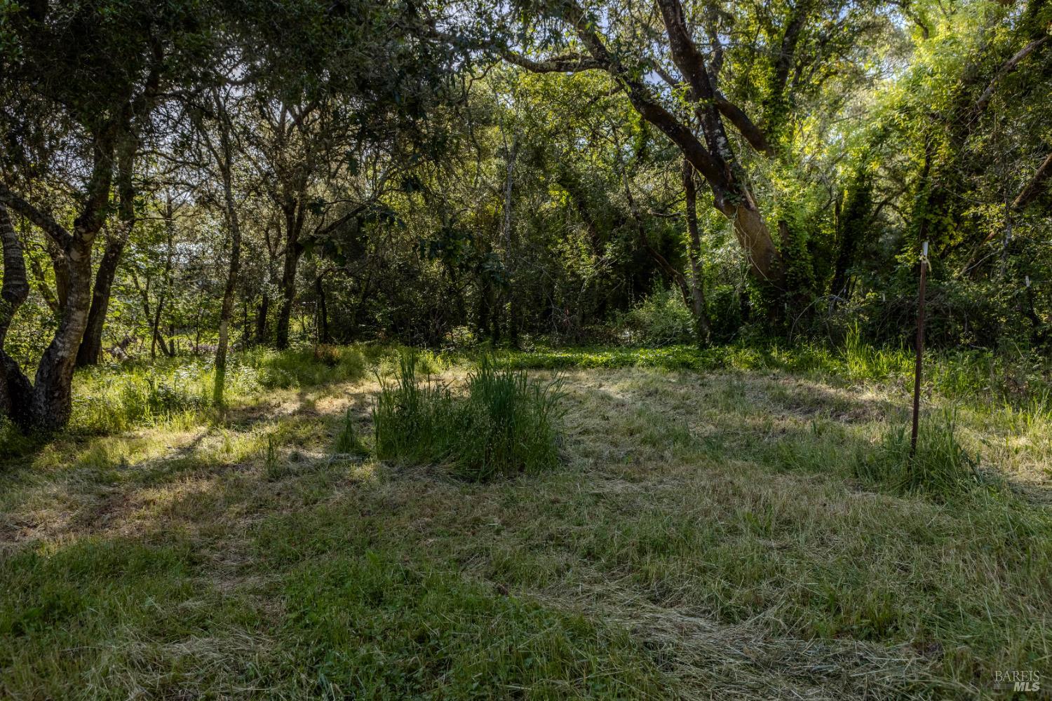 Detail Gallery Image 18 of 37 For 5957 Anderson Rd, Forestville,  CA 95436 - – Beds | – Baths