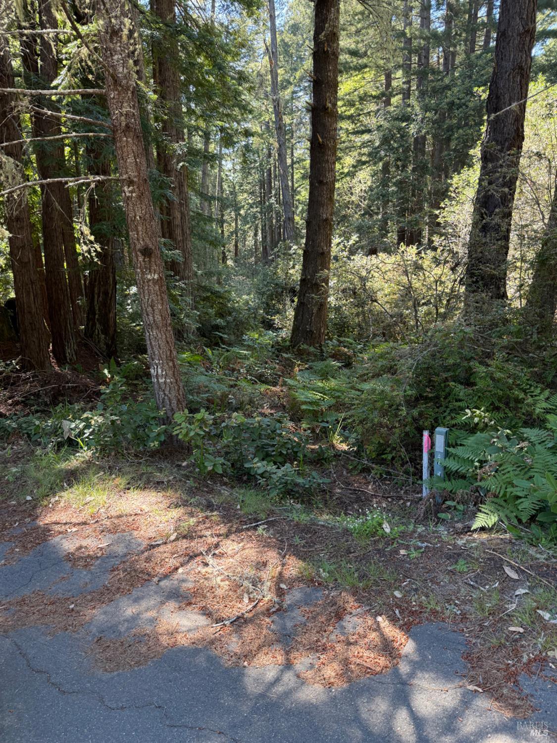 Detail Gallery Image 9 of 11 For 369 Big Tree Close Rd, The Sea Ranch,  CA 95497 - – Beds | – Baths