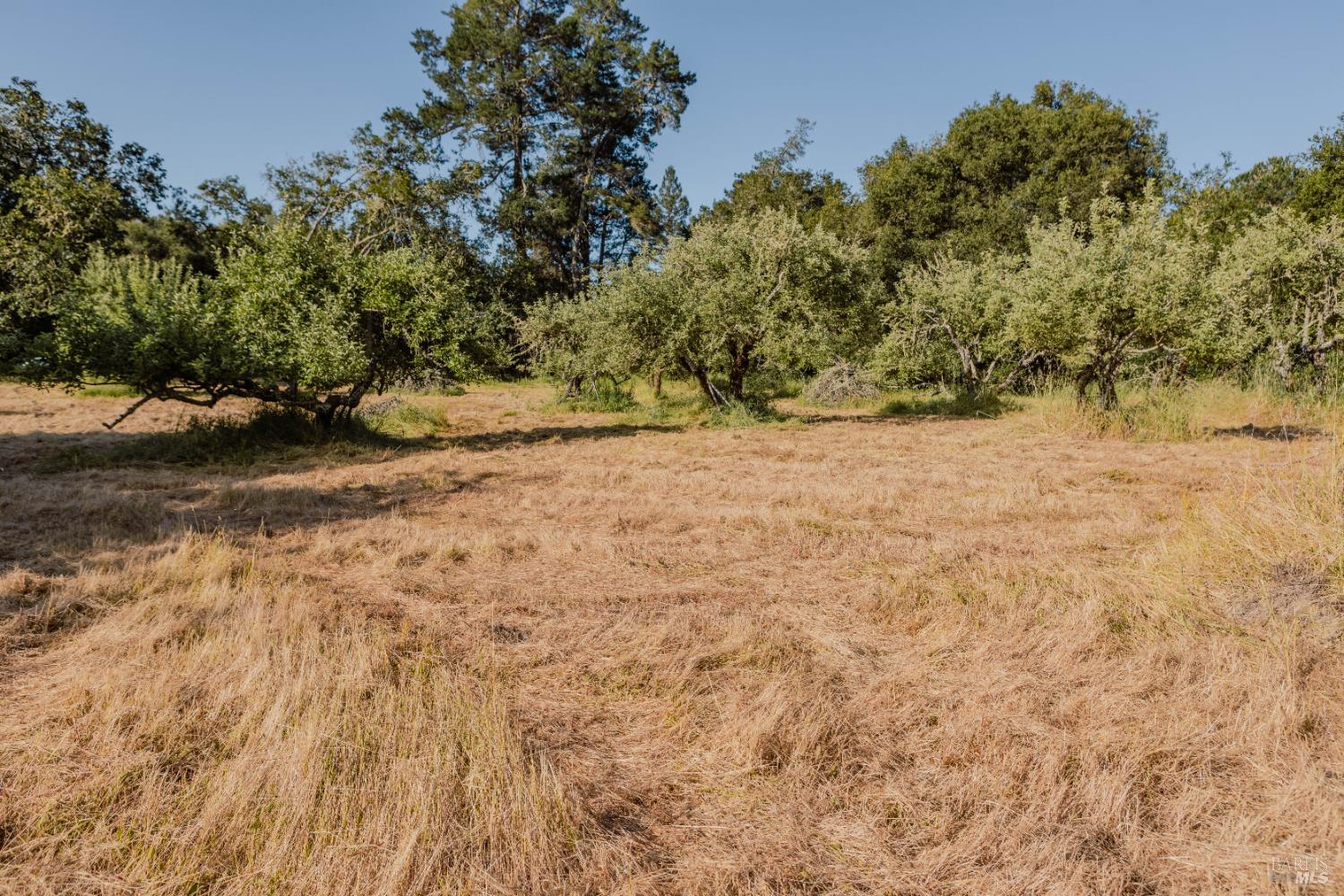Detail Gallery Image 26 of 37 For 5957 Anderson Rd, Forestville,  CA 95436 - – Beds | – Baths