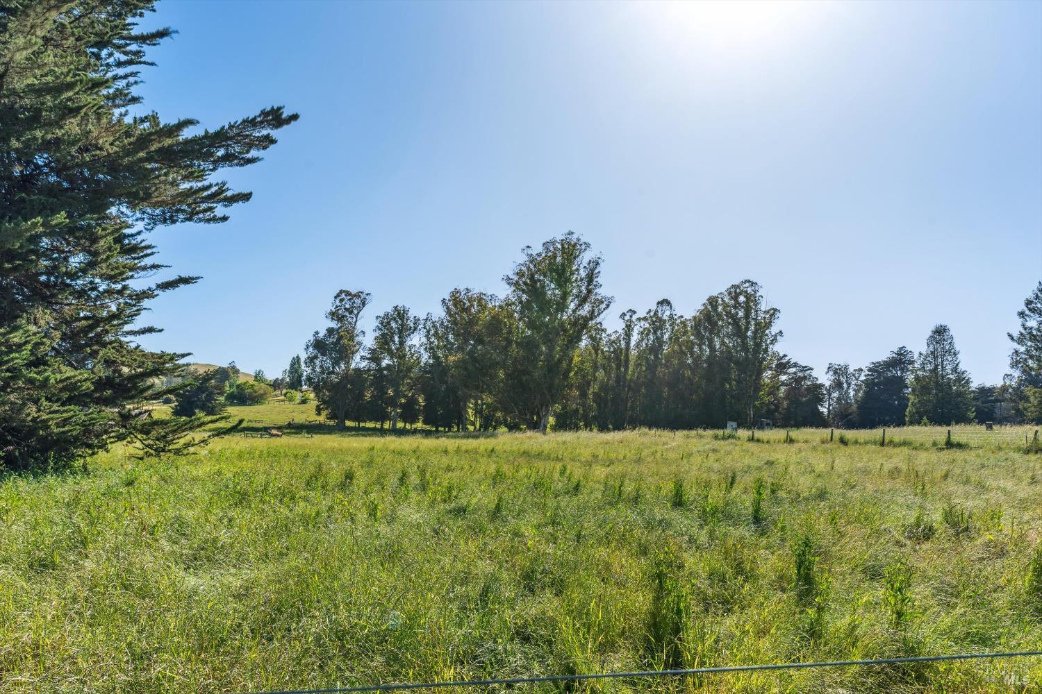Detail Gallery Image 20 of 24 For 9881 Minnesota Ave, Penngrove,  CA 94951 - 3 Beds | 2 Baths