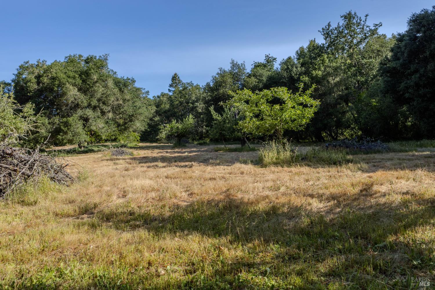 Detail Gallery Image 17 of 37 For 5957 Anderson Rd, Forestville,  CA 95436 - – Beds | – Baths