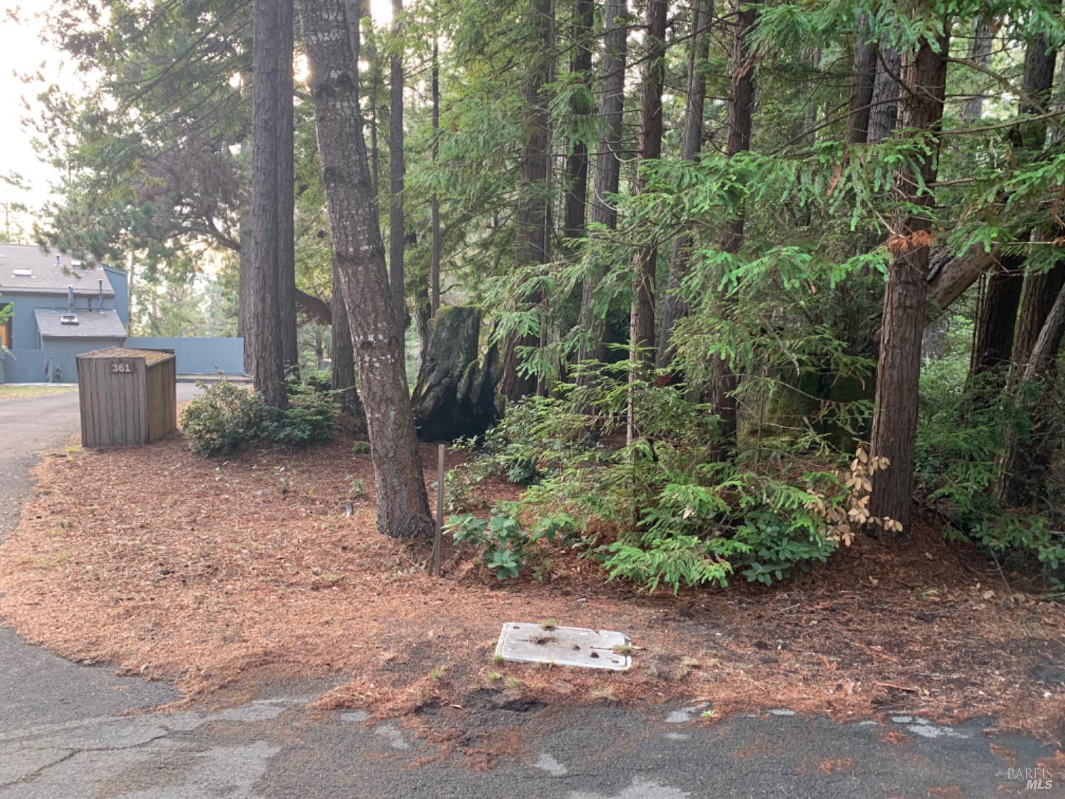Detail Gallery Image 3 of 11 For 369 Big Tree Close Rd, The Sea Ranch,  CA 95497 - – Beds | – Baths