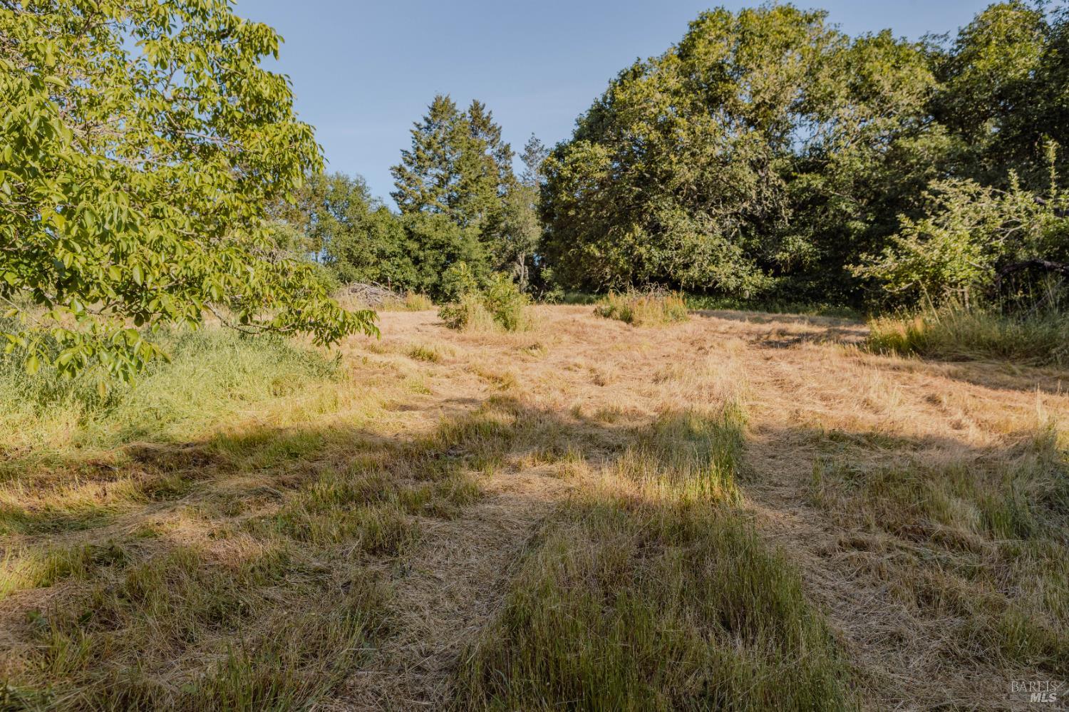 Detail Gallery Image 22 of 37 For 5957 Anderson Rd, Forestville,  CA 95436 - – Beds | – Baths