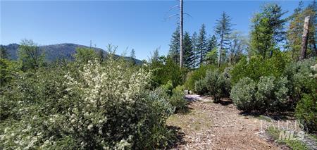Detail Gallery Image 2 of 9 For 11150 Oak St, Cobb,  CA 95426 - – Beds | – Baths