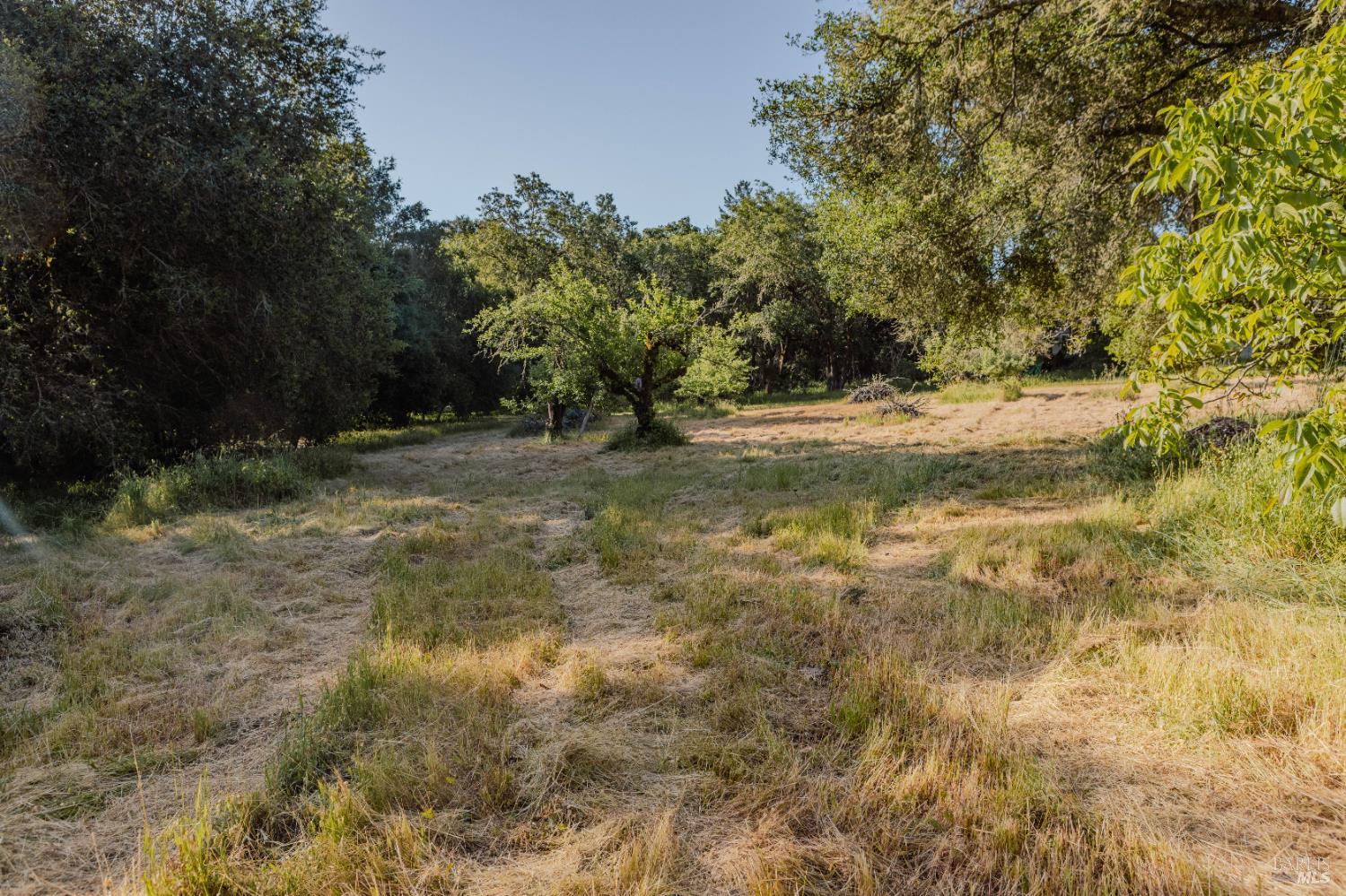 Detail Gallery Image 23 of 37 For 5957 Anderson Rd, Forestville,  CA 95436 - – Beds | – Baths