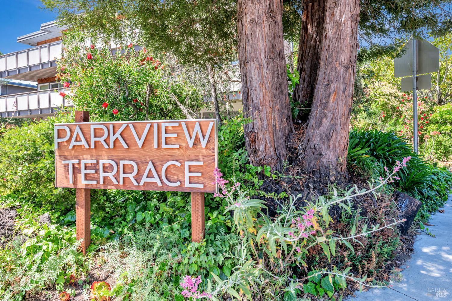 Detail Gallery Image 28 of 30 For 6 Redwood Ave, Corte Madera,  CA 94925 - 3 Beds | 2 Baths