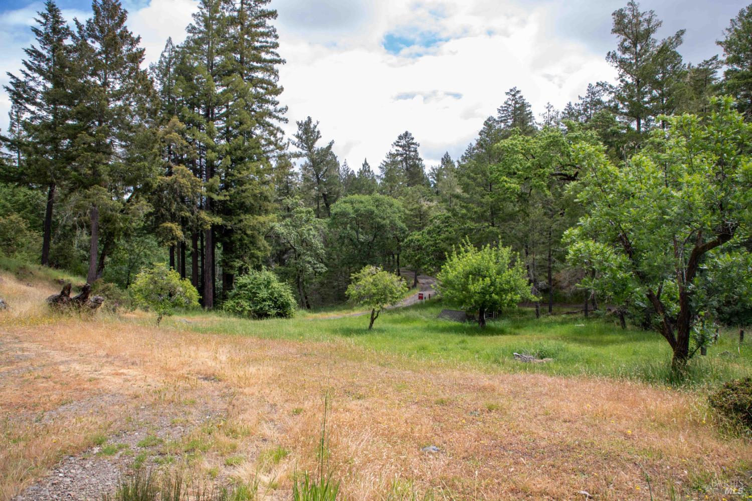 Detail Gallery Image 37 of 43 For 480 Pearl St, Cazadero,  CA 95421 - 3 Beds | 2 Baths