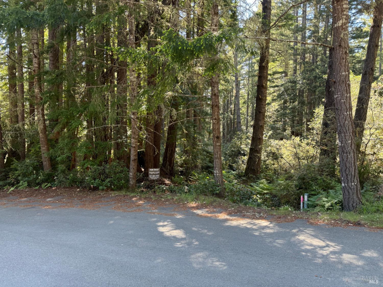 Detail Gallery Image 11 of 11 For 369 Big Tree Close Rd, The Sea Ranch,  CA 95497 - – Beds | – Baths