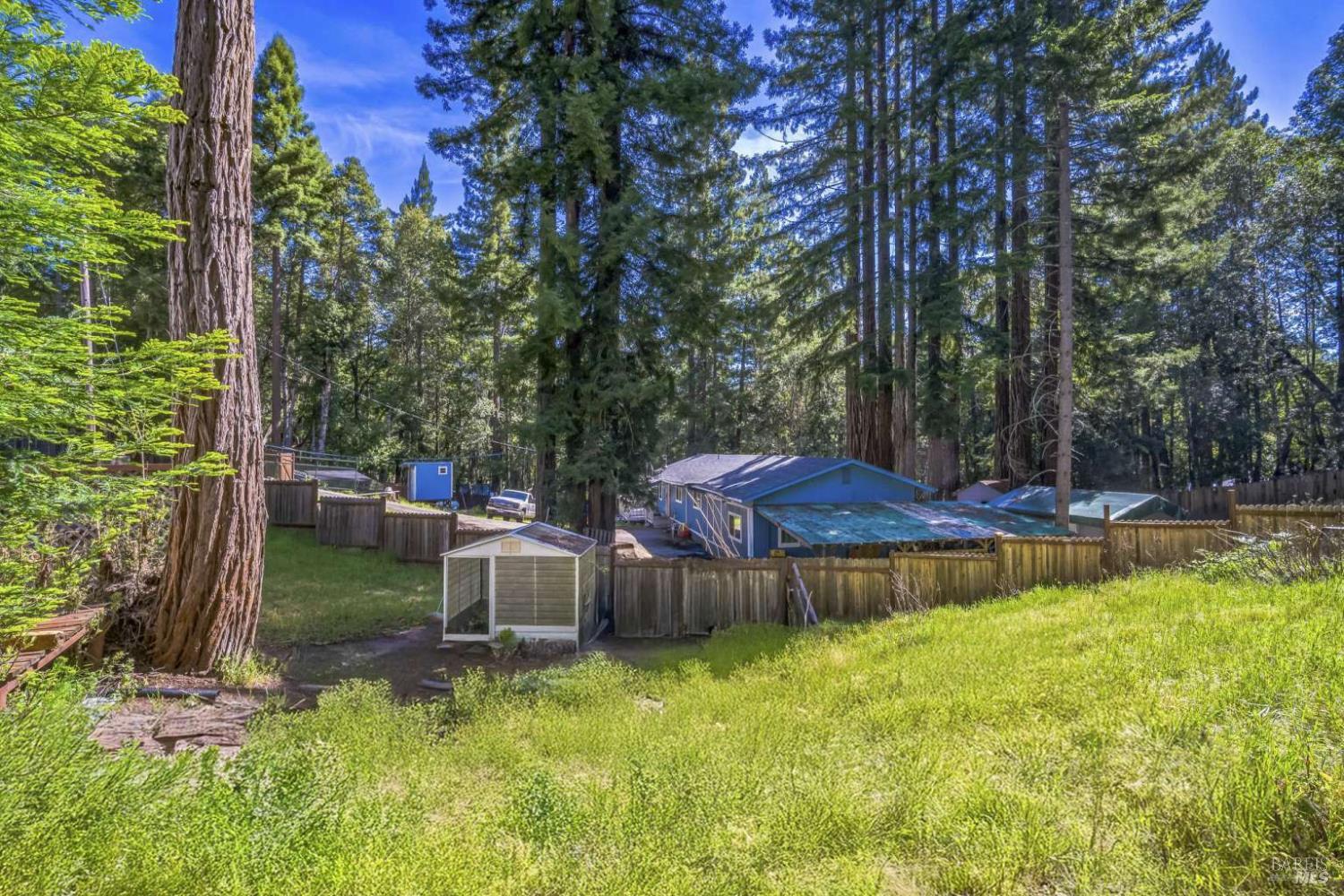 Otter Place, Willits, California image 12