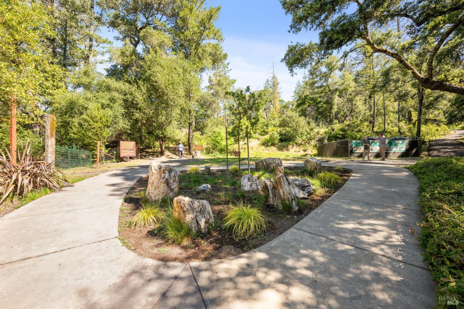Detail Gallery Image 59 of 72 For 4100 Petrified Forest Rd, Santa Rosa,  CA 94515 - 8 Beds | 6/1 Baths