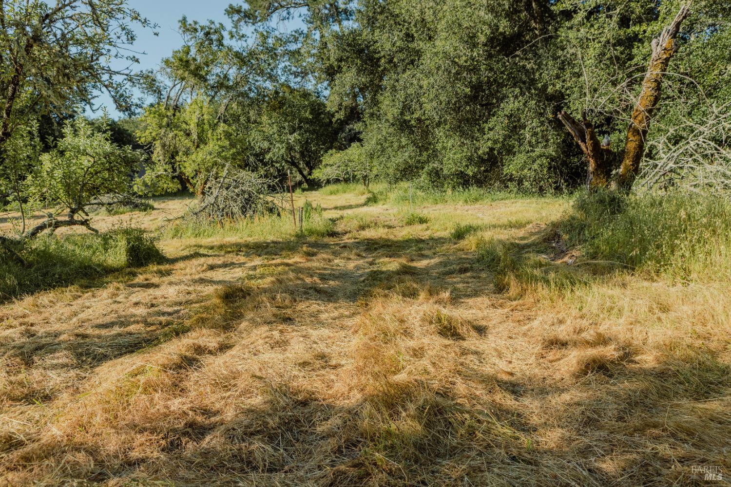 Detail Gallery Image 9 of 37 For 5957 Anderson Rd, Forestville,  CA 95436 - – Beds | – Baths
