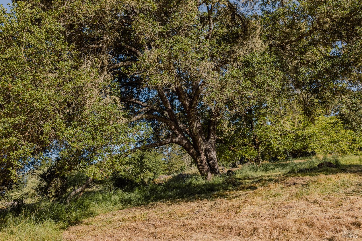 Detail Gallery Image 21 of 37 For 5957 Anderson Rd, Forestville,  CA 95436 - – Beds | – Baths