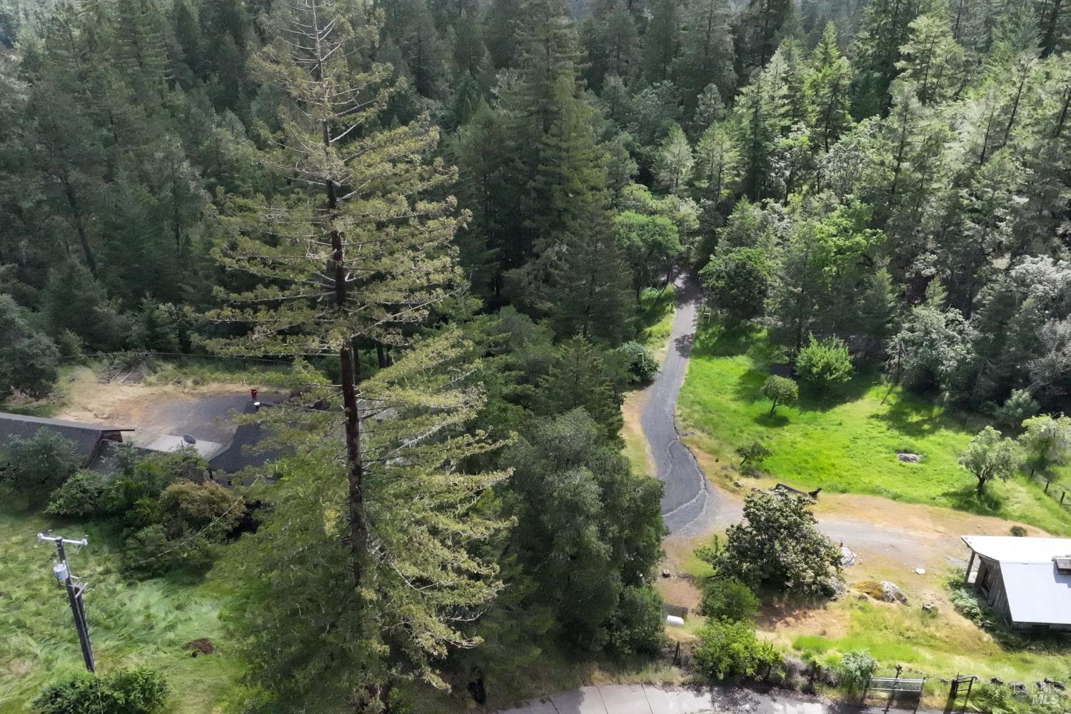 Detail Gallery Image 42 of 43 For 480 Pearl St, Cazadero,  CA 95421 - 3 Beds | 2 Baths