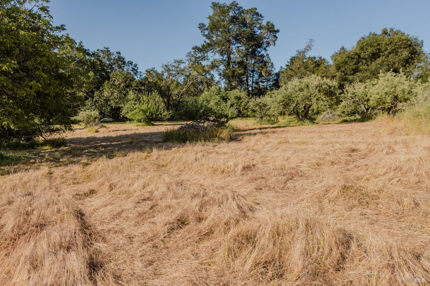 Detail Gallery Image 24 of 37 For 5957 Anderson Rd, Forestville,  CA 95436 - – Beds | – Baths