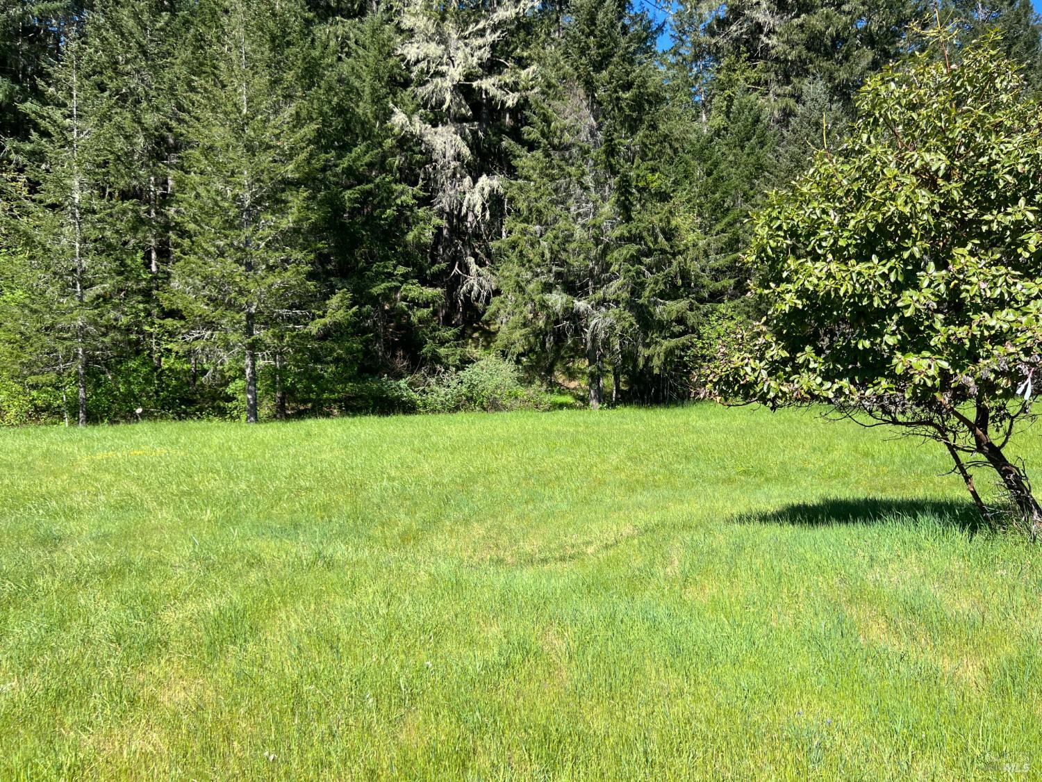 Detail Gallery Image 2 of 7 For 25269 Madrone Dr, Willits,  CA 95490 - – Beds | – Baths