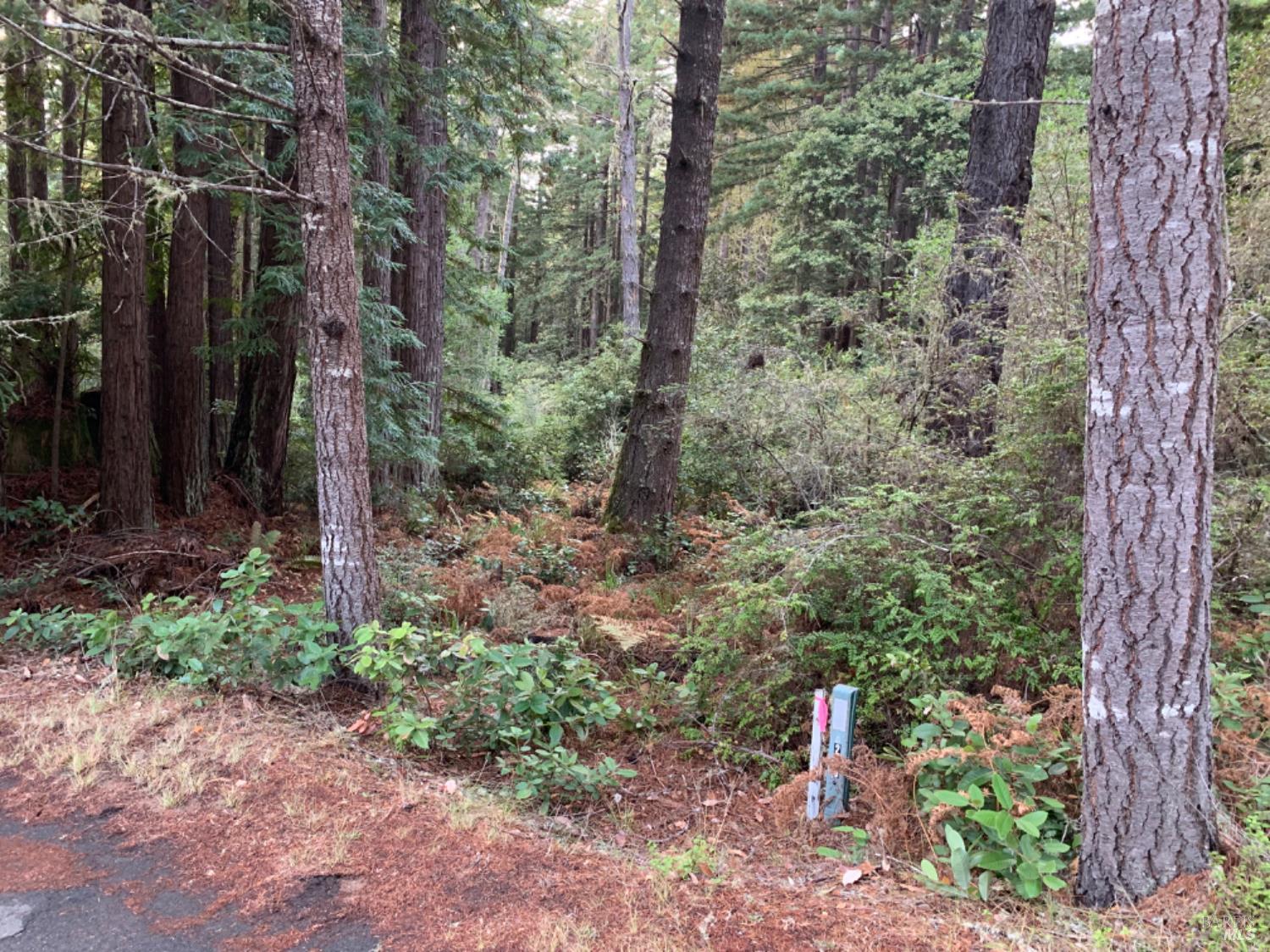 Detail Gallery Image 4 of 11 For 369 Big Tree Close Rd, The Sea Ranch,  CA 95497 - – Beds | – Baths