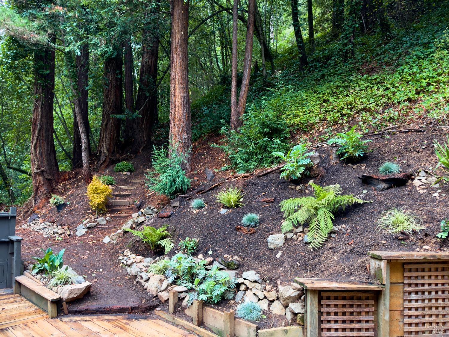 Detail Gallery Image 22 of 35 For 17420 Guernewood Ln, Guerneville,  CA 95446 - – Beds | – Baths