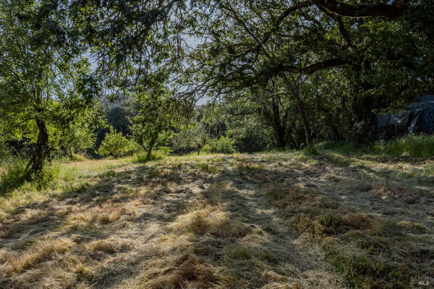 Detail Gallery Image 14 of 37 For 5957 Anderson Rd, Forestville,  CA 95436 - – Beds | – Baths