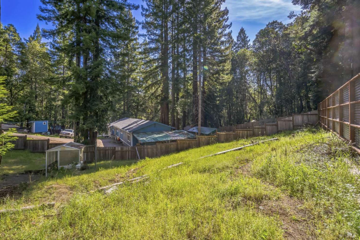 Otter Place, Willits, California image 13