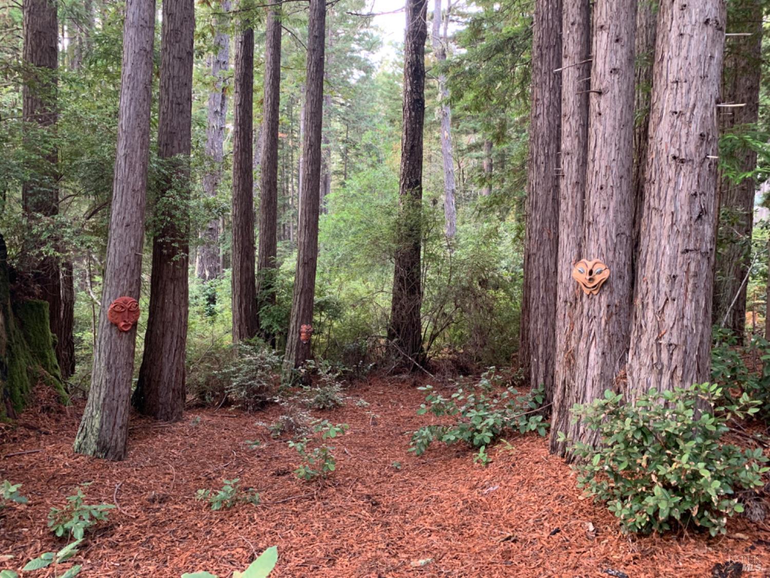 Detail Gallery Image 2 of 11 For 369 Big Tree Close Rd, The Sea Ranch,  CA 95497 - – Beds | – Baths