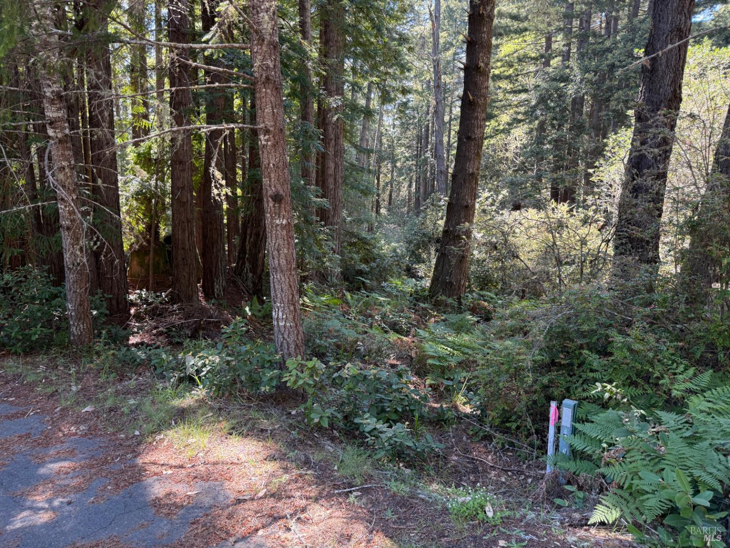 Detail Gallery Image 1 of 11 For 369 Big Tree Close Rd, The Sea Ranch,  CA 95497 - – Beds | – Baths