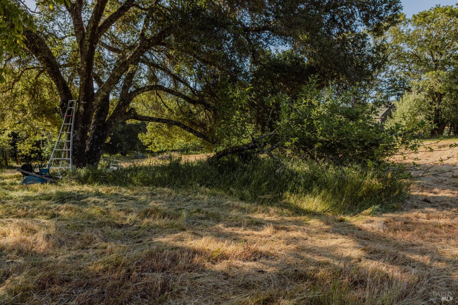 Detail Gallery Image 25 of 37 For 5957 Anderson Rd, Forestville,  CA 95436 - – Beds | – Baths