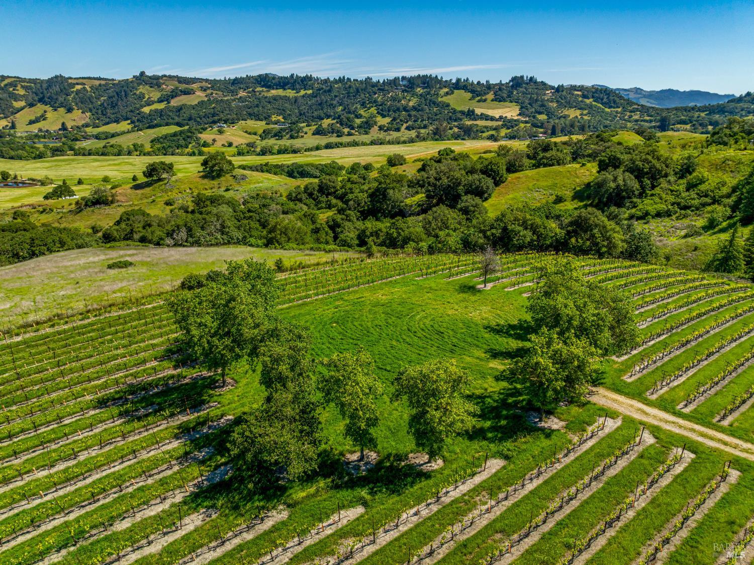 Detail Gallery Image 9 of 52 For 4560 Sonoma Mountain Rd, Santa Rosa,  CA 95404 - – Beds | – Baths