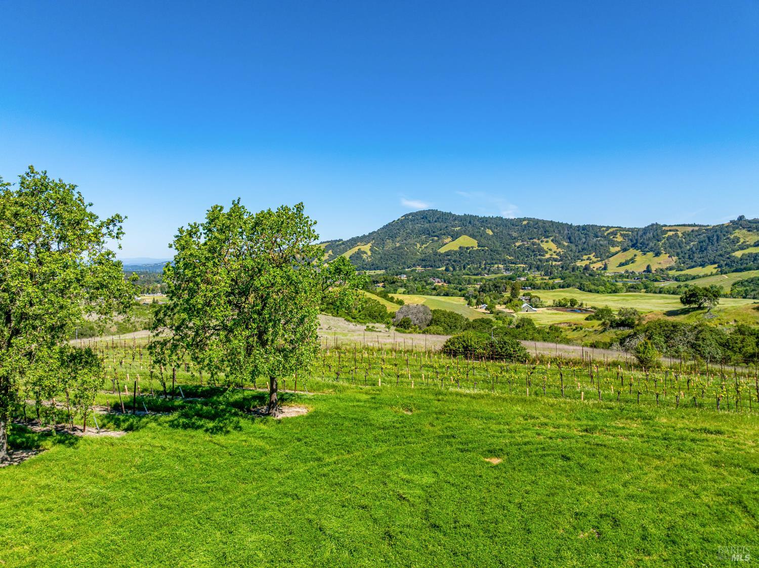 Detail Gallery Image 21 of 52 For 4560 Sonoma Mountain Rd, Santa Rosa,  CA 95404 - – Beds | – Baths