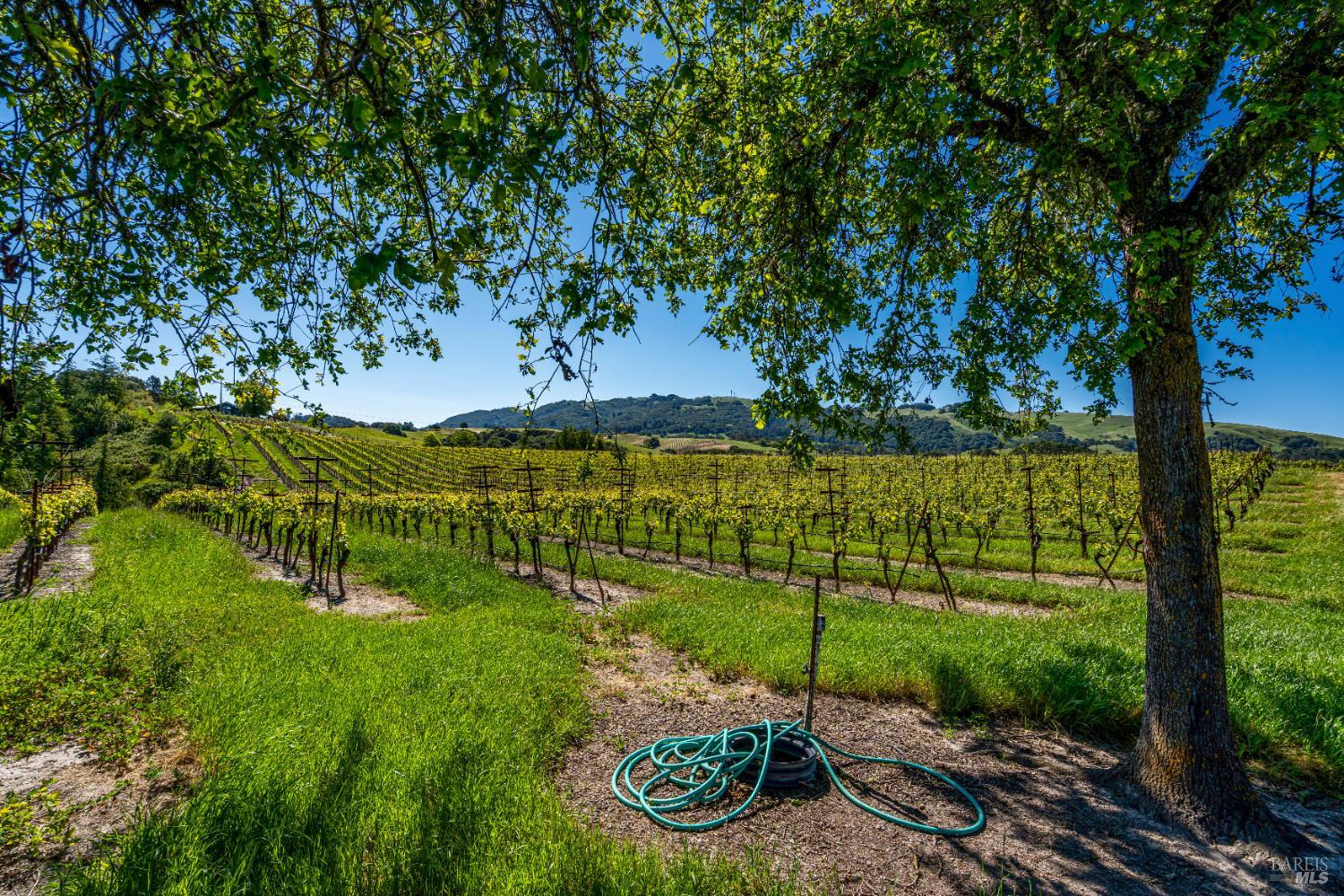 Detail Gallery Image 12 of 52 For 4560 Sonoma Mountain Rd, Santa Rosa,  CA 95404 - – Beds | – Baths