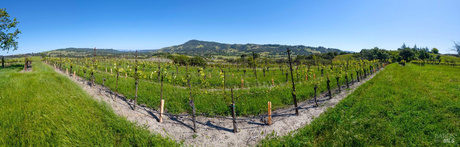Detail Gallery Image 52 of 52 For 4560 Sonoma Mountain Rd, Santa Rosa,  CA 95404 - – Beds | – Baths