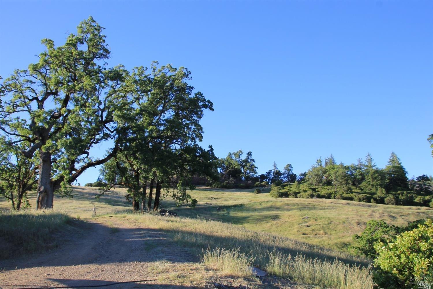 Detail Gallery Image 11 of 20 For 0 Mendocino Pass Rd, Covelo,  CA 95428 - – Beds | – Baths