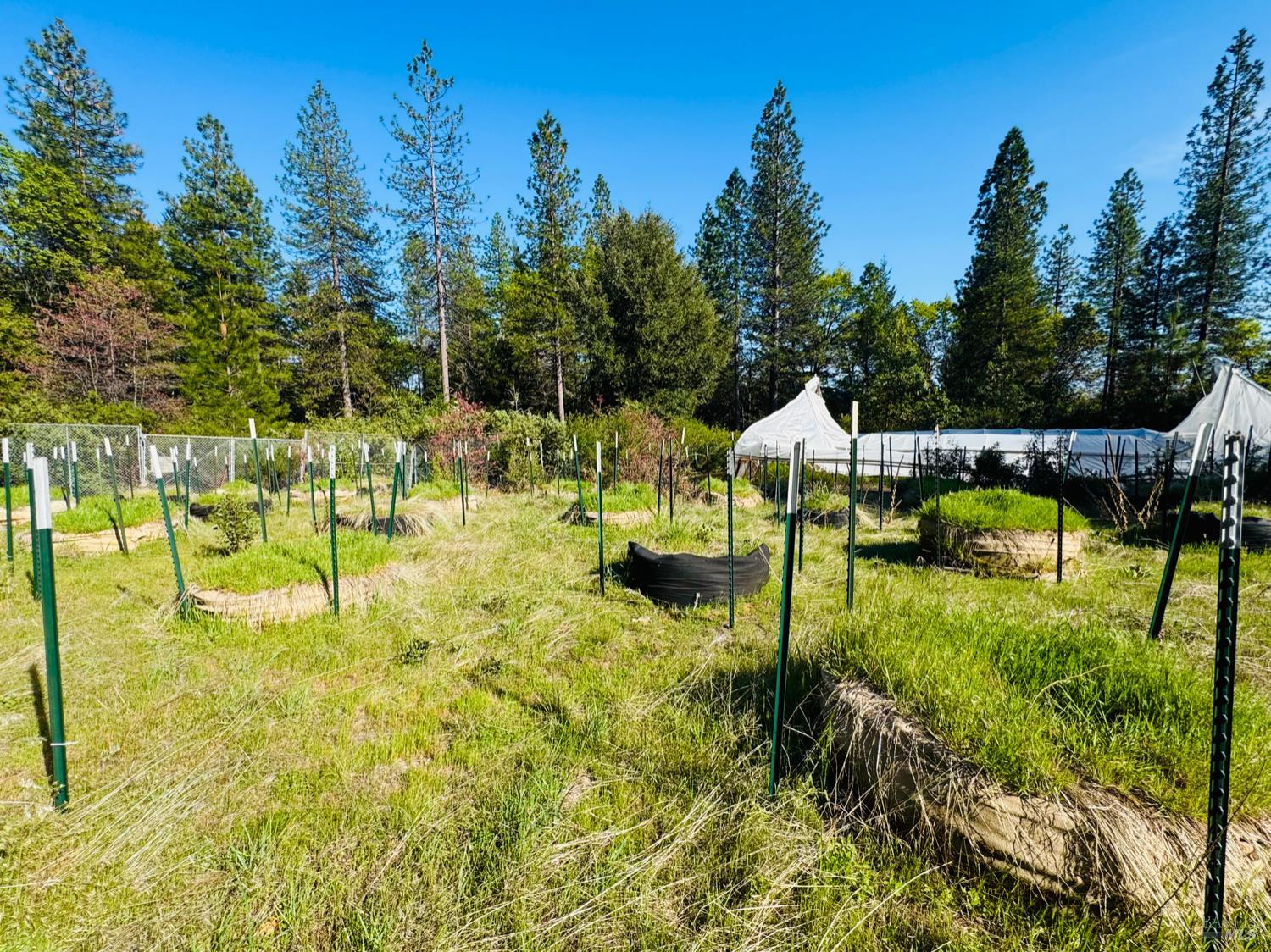 Detail Gallery Image 2 of 5 For 26346 19 N16th Rd, Potter Valley,  CA 95469 - – Beds | – Baths